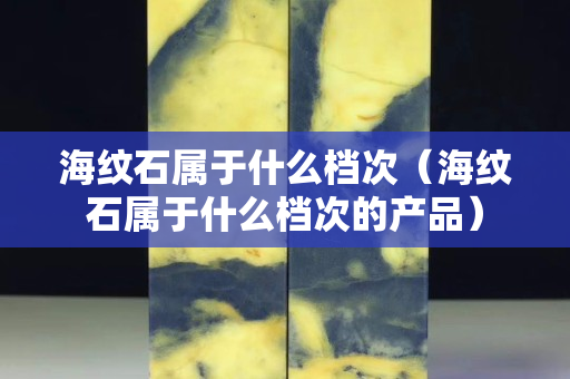 海纹石属于什么档次（海纹石属于什么档次的产品）