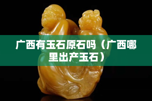 广西有玉石原石吗（广西哪里出产玉石）