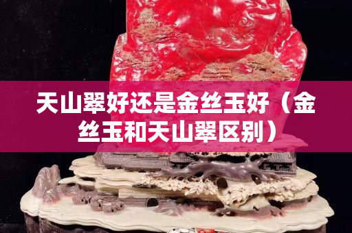 天山翠好还是金丝玉好（金丝玉和天山翠区别）