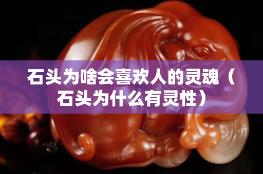 石头为啥会喜欢人的灵魂（石头为什么有灵性）