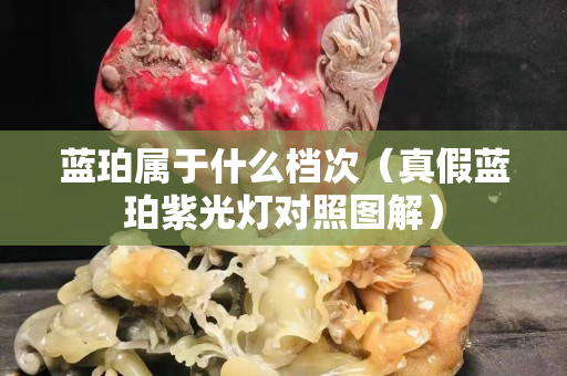 蓝珀属于什么档次（真假蓝珀紫光灯对照图解）