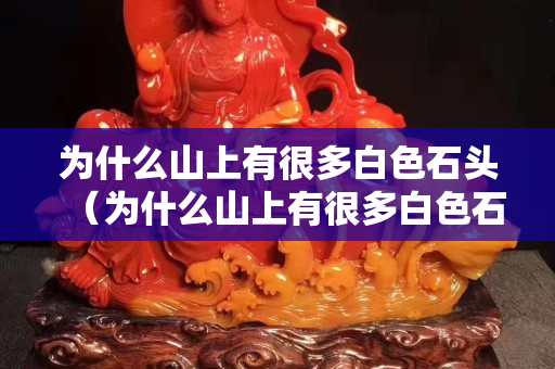 为什么山上有很多白色石头（为什么山上有很多白色石头呢）