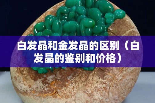 白发晶和金发晶的区别（白发晶的鉴别和价格）
