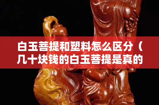 白玉菩提和塑料怎么区分（几十块钱的白玉菩提是真的吗）