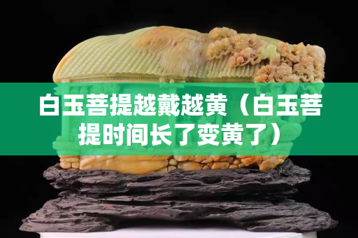白玉菩提越戴越黄（白玉菩提时间长了变黄了）