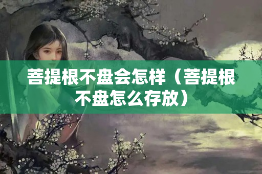 菩提根不盘会怎样（菩提根不盘怎么存放）