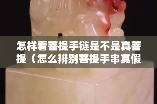 怎样看菩提手链是不是真菩提（怎么辨别菩提手串真假）