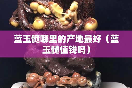 蓝玉髓哪里的产地最好（蓝玉髓值钱吗）