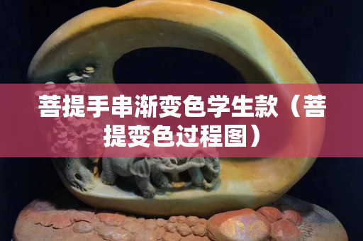 菩提手串渐变色学生款（菩提变色过程图）
