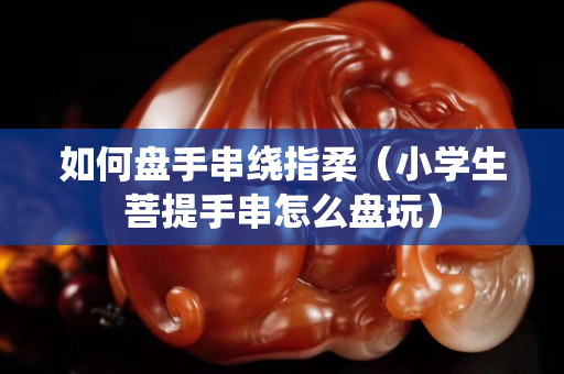 如何盘手串绕指柔（小学生菩提手串怎么盘玩）