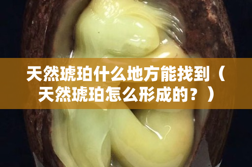 天然琥珀什么地方能找到（天然琥珀怎么形成的？）