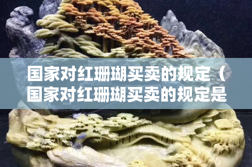 国家对红珊瑚买卖的规定（国家对红珊瑚买卖的规定是什么）