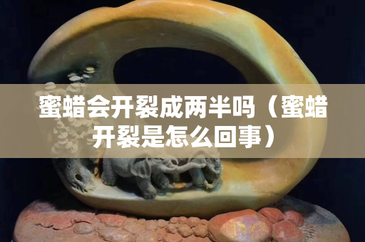 蜜蜡会开裂成两半吗（蜜蜡开裂是怎么回事）