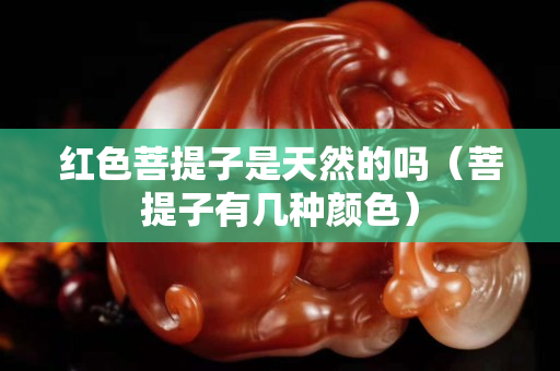 红色菩提子是天然的吗（菩提子有几种颜色）