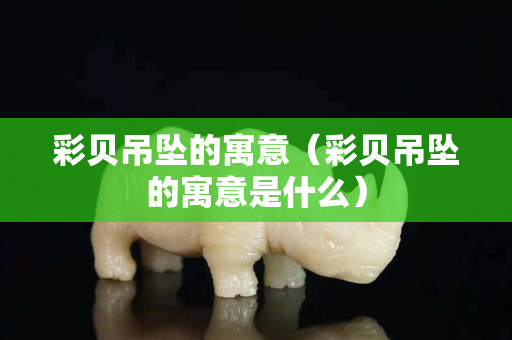 彩贝吊坠的寓意（彩贝吊坠的寓意是什么）
