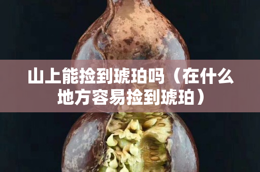山上能捡到琥珀吗（在什么地方容易捡到琥珀）
