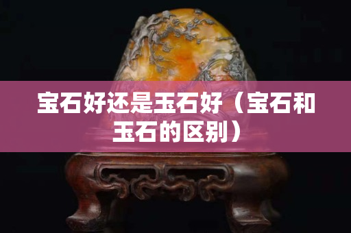 宝石好还是玉石好（宝石和玉石的区别）