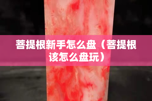 菩提根新手怎么盘（菩提根该怎么盘玩）