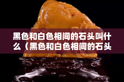 黑色和白色相间的石头叫什么（黑色和白色相间的石头叫什么名字）