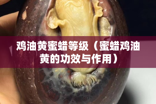 鸡油黄蜜蜡等级（蜜蜡鸡油黄的功效与作用）