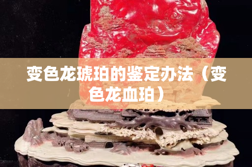 变色龙琥珀的鉴定办法（变色龙血珀）