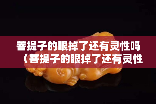 菩提子的眼掉了还有灵性吗（菩提子的眼掉了还有灵性吗视频）