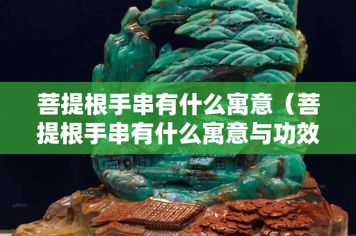 菩提根手串有什么寓意（菩提根手串有什么寓意与功效）