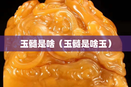 玉髓是啥（玉髓是啥玉）