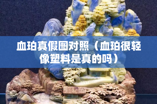血珀真假图对照（血珀很轻像塑料是真的吗）