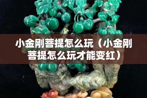 小金刚菩提怎么玩（小金刚菩提怎么玩才能变红）