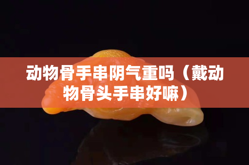 动物骨手串阴气重吗（戴动物骨头手串好嘛）