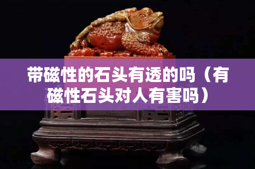 带磁性的石头有透的吗（有磁性石头对人有害吗）