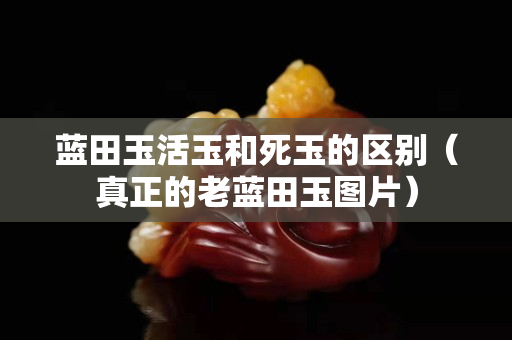 蓝田玉活玉和死玉的区别（真正的老蓝田玉图片）