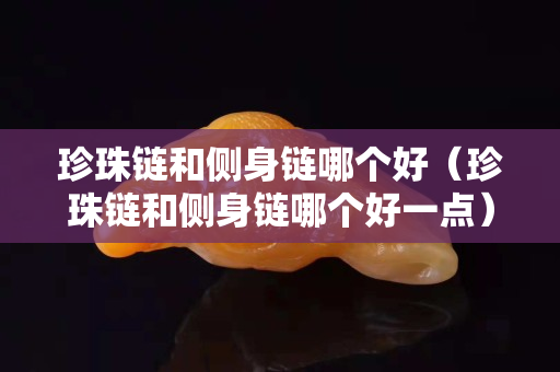 珍珠链和侧身链哪个好（珍珠链和侧身链哪个好一点）