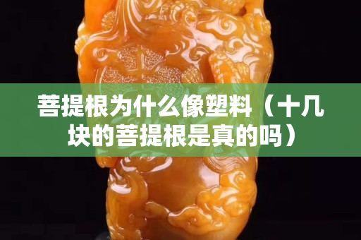 菩提根为什么像塑料（十几块的菩提根是真的吗）