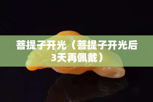 菩提子开光（菩提子开光后3天再佩戴）
