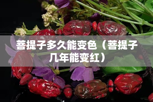 菩提子多久能变色（菩提子几年能变红）