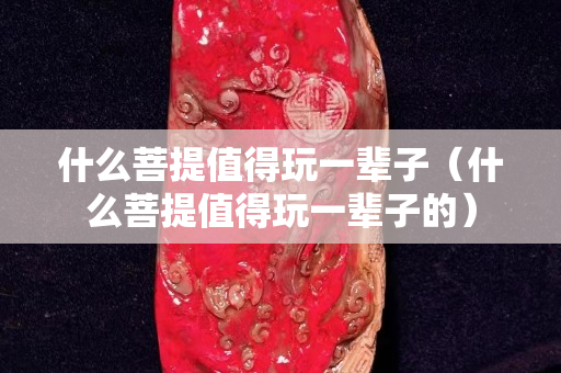 什么菩提值得玩一辈子（什么菩提值得玩一辈子的）