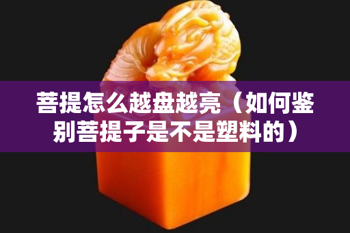 菩提怎么越盘越亮（如何鉴别菩提子是不是塑料的）
