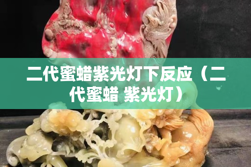 二代蜜蜡紫光灯下反应（二代蜜蜡 紫光灯）