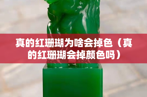 真的红珊瑚为啥会掉色（真的红珊瑚会掉颜色吗）