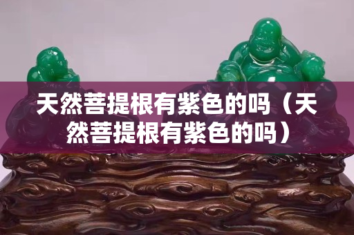 天然菩提根有紫色的吗（天然菩提根有紫色的吗）