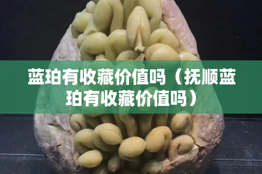 蓝珀有收藏价值吗（抚顺蓝珀有收藏价值吗）