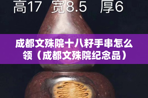 成都文殊院十八籽手串怎么领（成都文殊院纪念品）