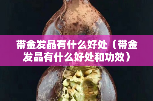 带金发晶有什么好处（带金发晶有什么好处和功效）
