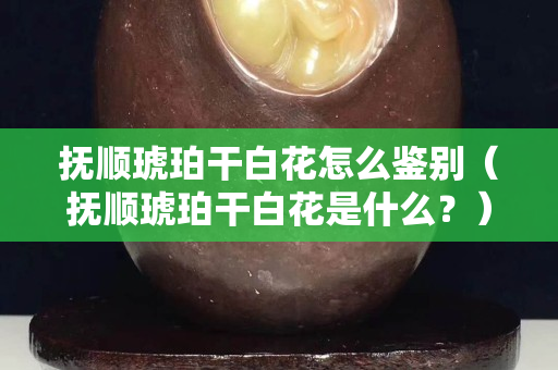 抚顺琥珀干白花怎么鉴别（抚顺琥珀干白花是什么？）