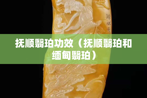 抚顺翳珀功效（抚顺翳珀和缅甸翳珀）