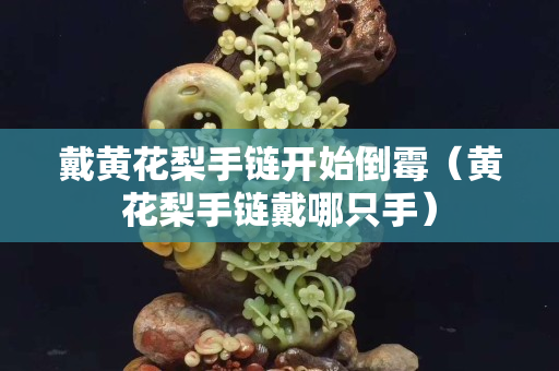 戴黄花梨手链开始倒霉（黄花梨手链戴哪只手）