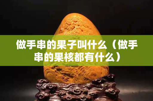 做手串的果子叫什么（做手串的果核都有什么）