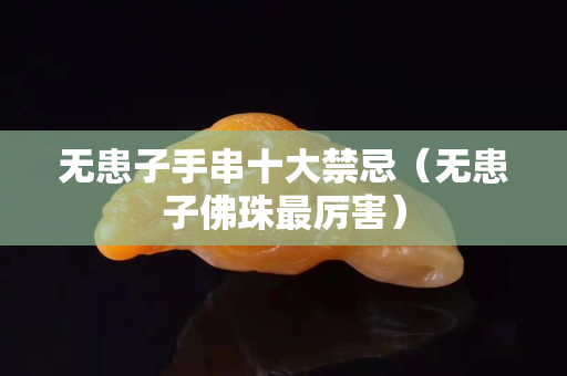 无患子手串十大禁忌（无患子佛珠最厉害）